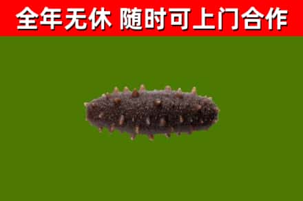 龙亭区烟酒回收干海参.jpg